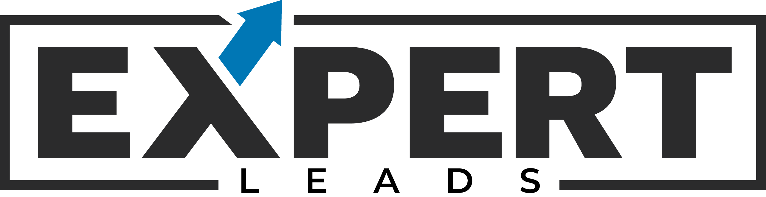 expert leads